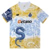 FC Porto Dragon Shirt 2025-26 Speciaal