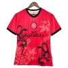 Inter Milan Shirt 2025-26 Speciaal
