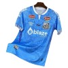 Santos FC Dragon Shirt 2025-26 Blauwe
