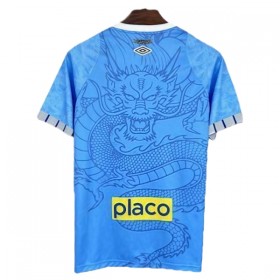 Santos FC Dragon Shirt 2025-26 Blauwe