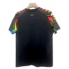 Sunderland Shirt 2025-26 Speciaal