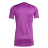 Aston Villa Doelman Shirt 2025-26 Purper