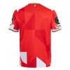 FSV Mainz 05 Shirt 2025-26 Speciaal