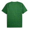 Manchester City Pre-Match Shirt 2025-26 Groene