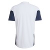 Argentinië WK Voetbal 2026 Trainingsshirt Witte