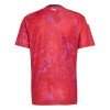 Costa Rica Thuisshirt WK Voetbal 2026
