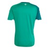 Noord-Ierland Thuisshirt WK Voetbal 2026