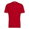 Wales Thuisshirt WK Voetbal 2026