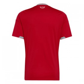 Wales Thuisshirt WK Voetbal 2026