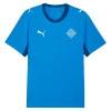 IJsland Thuisshirt WK Voetbal 2026