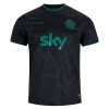 Ierland Shirt 2025-26 Speciaal