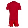 Wales Kind Thuistenue WK Voetbal 2026