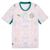 Senegal Thuisshirt WK Voetbal 2026