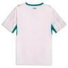 Senegal Thuisshirt WK Voetbal 2026