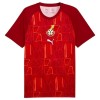 Ghana Pre-Match Shirt WK Voetbal 2026
