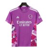 Arsenal Doelman Shirt 2026-27 Purper