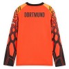 Borussia Dortmund Doelman Thuisshirt 2026-27 Oranje Lange Mouw