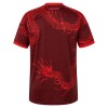 Internacional Third Shirt 2026-27