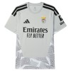 Benfica Doelman Shirt 2026-27 Grijze